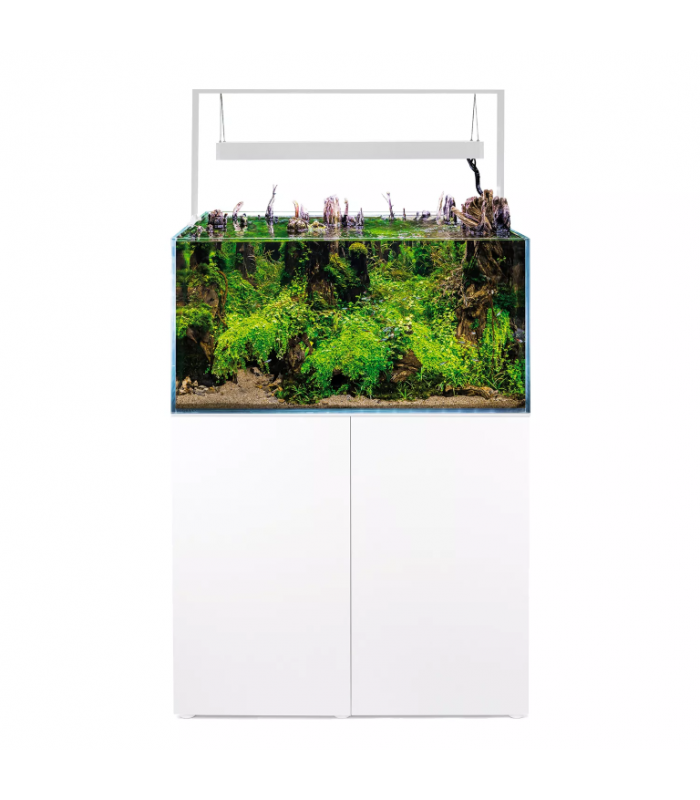 Kit de acuarios plantados con capacidad de hasta 100 litros de color  transparente Aquascape