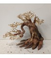 Bonsai talla M - Nº272