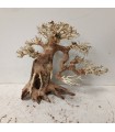 Bonsai talla M - Nº277