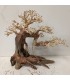 Bonsai talla L - Nº280